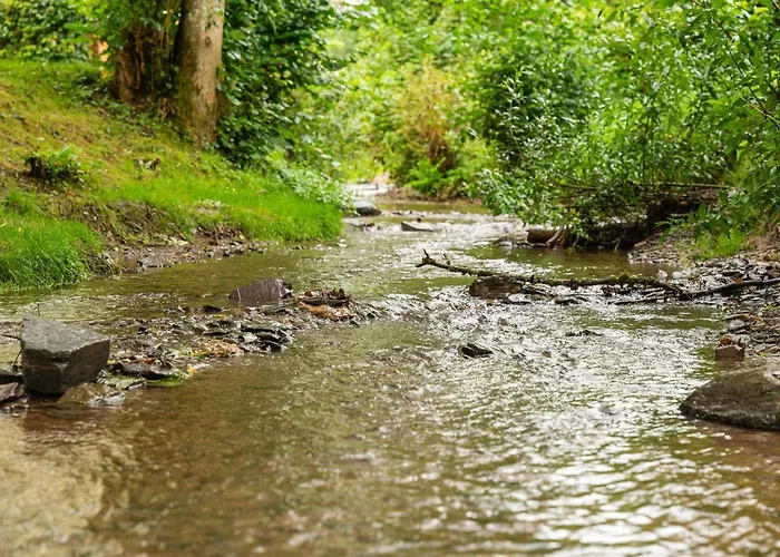 Moezel Met Hottub | 4 Personen